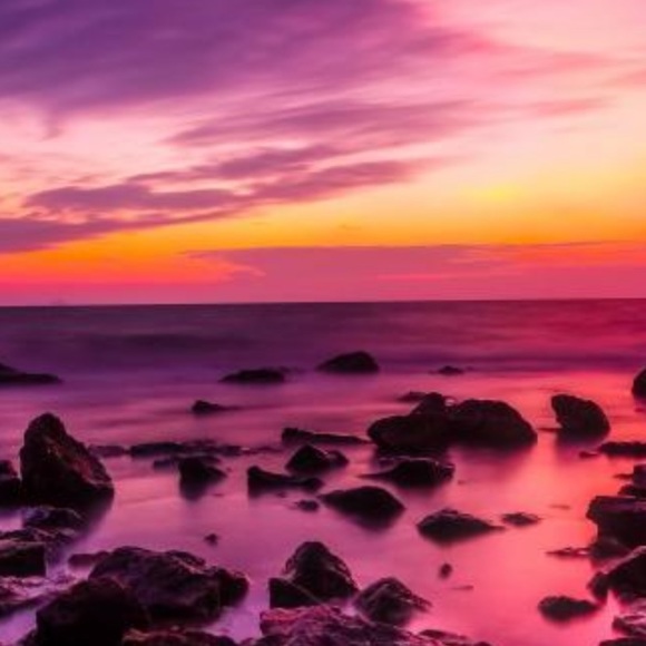 Meet your Posher, Inara - Picture 1 of 1